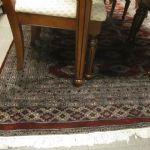 666 2074 ORIENTAL RUG